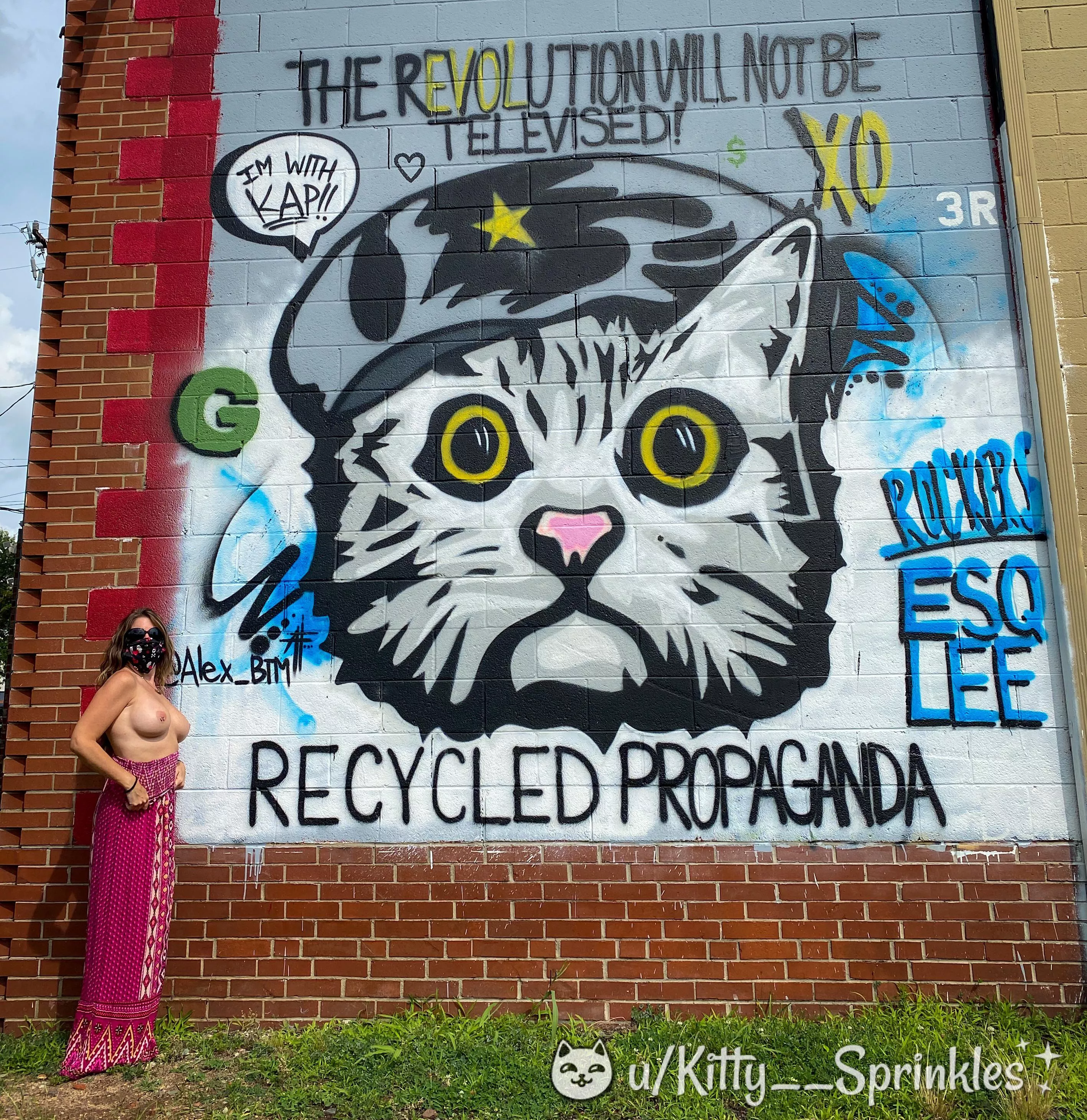 ¡Viva la Kitty! posted by Kitty__Sprinkles