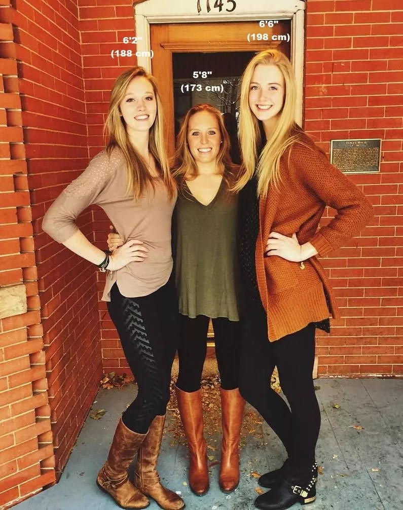 Volleyball players posted by dergill