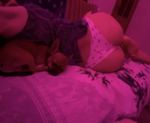 Volunteers to cuddle with me?🥺 by E_J_Gzzz