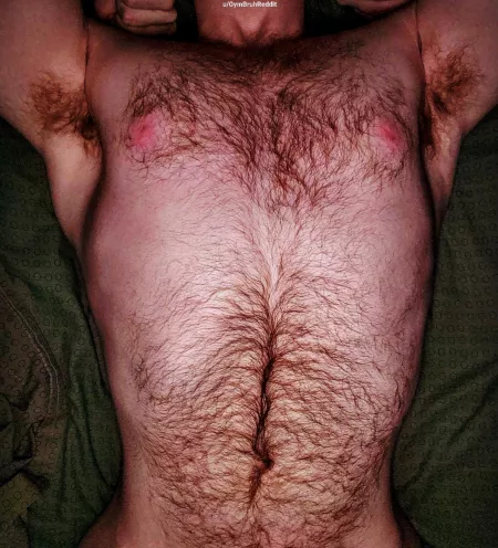 ⬆️vote if a man with hair all over and that's dominant turns you on bro by GymBruhReddit