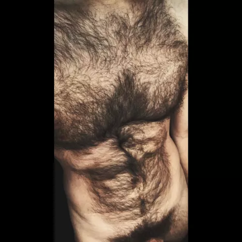 w o o f by jerseyjaxoff