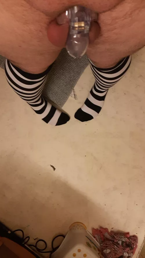 Waiting for my Mastress Add/u/RainSeraph to call so i can ride their dick🙈🥰 by BlaiddDrewg