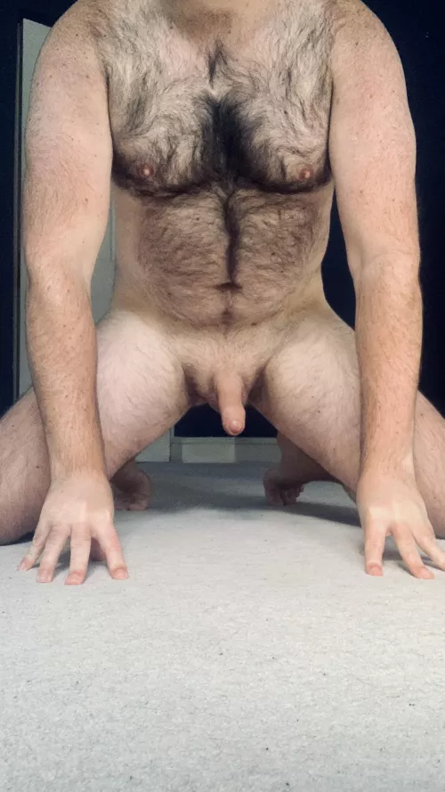 Waiting obediently to be collared and trained by pup_huskyZA