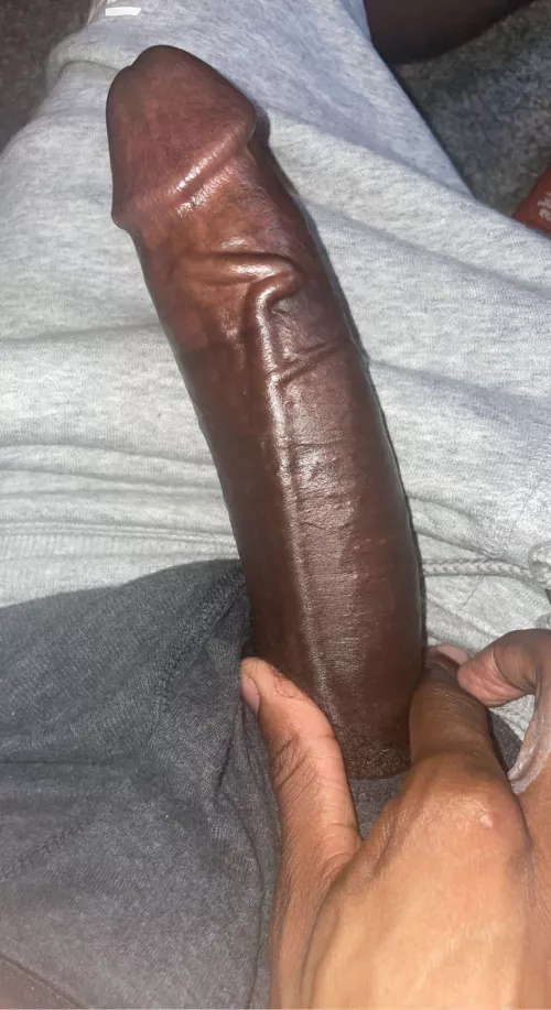 Wake up and hop on it. by ThrowRArestoremylove