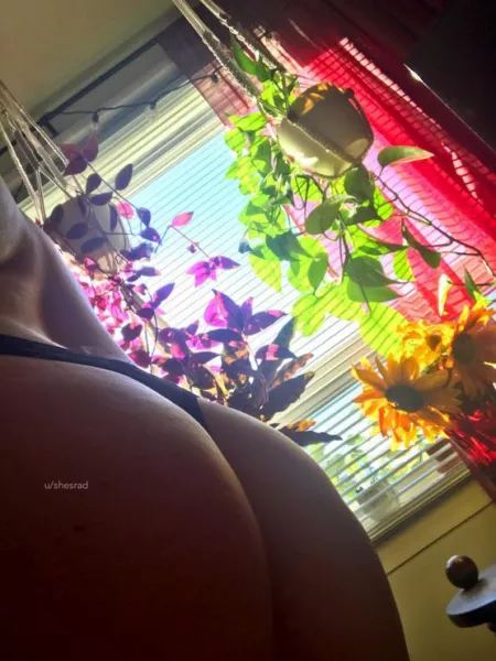 wake up and smell the roses with me 🌹 by shesrad