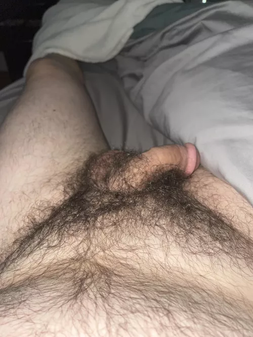 Waking up [44] by notafignewton