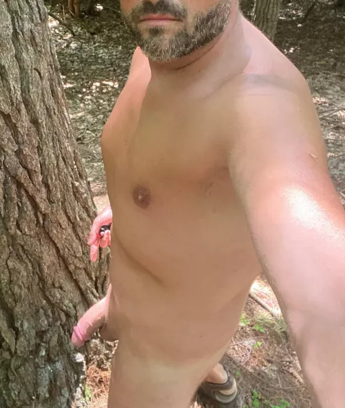 Walk in the woods. by jk9584