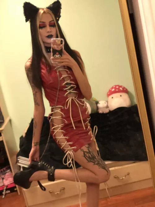 walk this kitten on a leash?❤️🐱 by emmaarayray