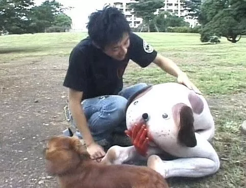 Walking the Dogged posted by Tabou__