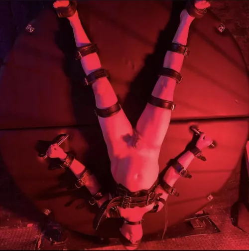 Wanna be treated the same🤪 by mistressdominatrix92