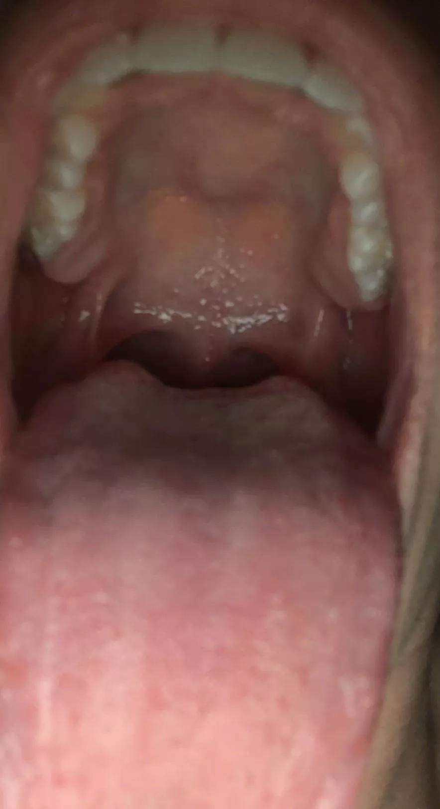 Wanna give a bj posted by ConfidentGirl69