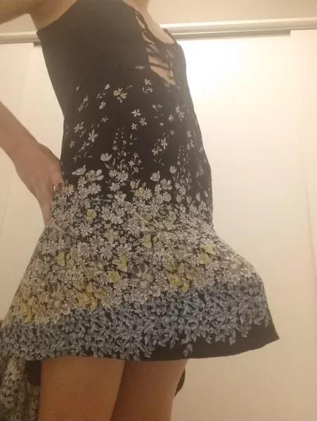 Wanna go camping under my tent? by CutteLittleDoge