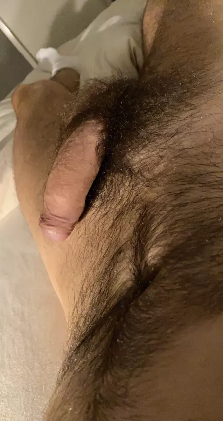 Wanna rate my semi? by snksox92