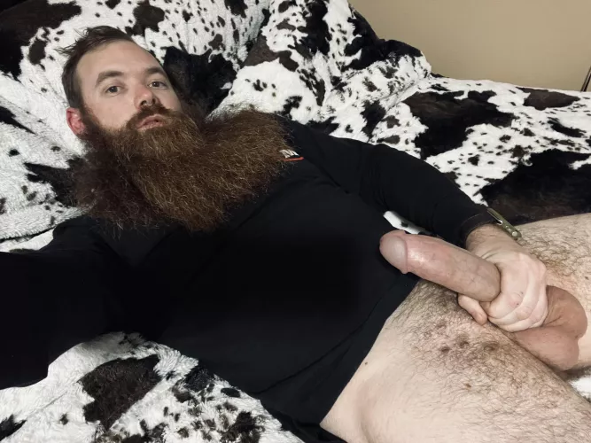 Wanna ride the bull? by -BEARDEDGINGER-