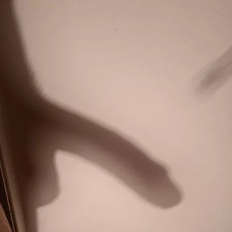 Wanna see the real thing? by vtilde