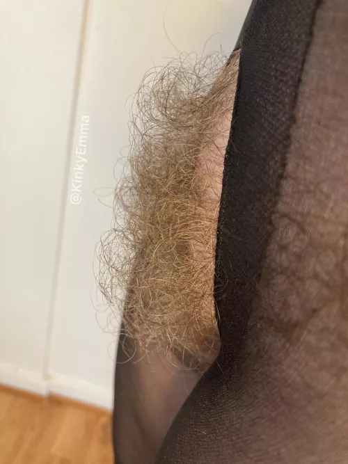 Wanna stroke my big bush on your face by Kinkyemma00