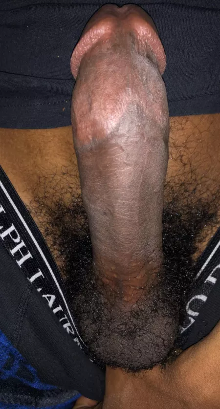 Wanna touch it? by bigblackjay26