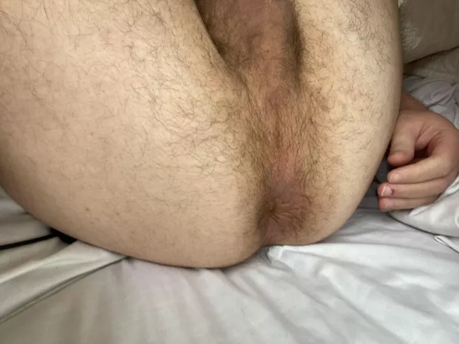 Want more hair by Ok-Paramedic3405