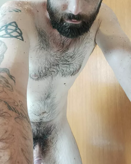 Want to have some fun?😈 by Magic_Tristan_Furvus