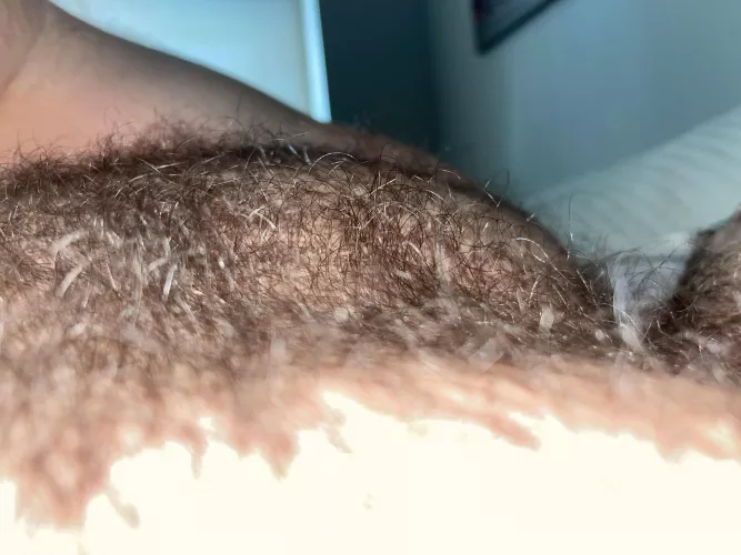 Want to rub your face into it? by Hairbair12