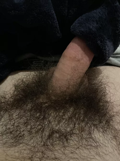 want to see the biggest tree in the forest? ;) by pubesguy19