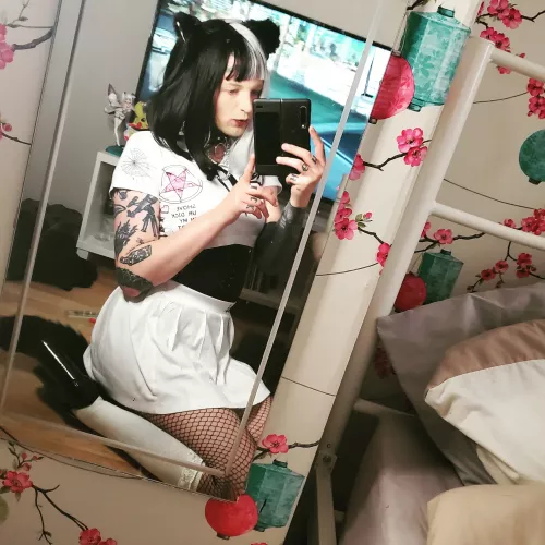 Wanted to post something with face not to break rules. Need new friends hope I'm a good kitty by Firm_Investigator_17