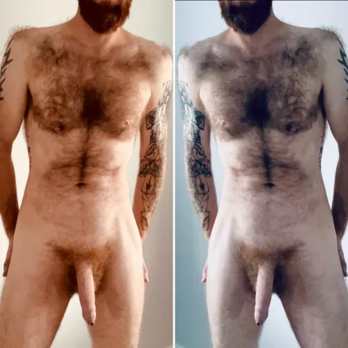 Warm or Cool - which looks best? by gbrad1983