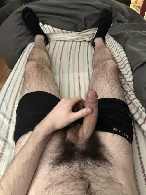 Warm up in the flannel sheets? by aloneinnb