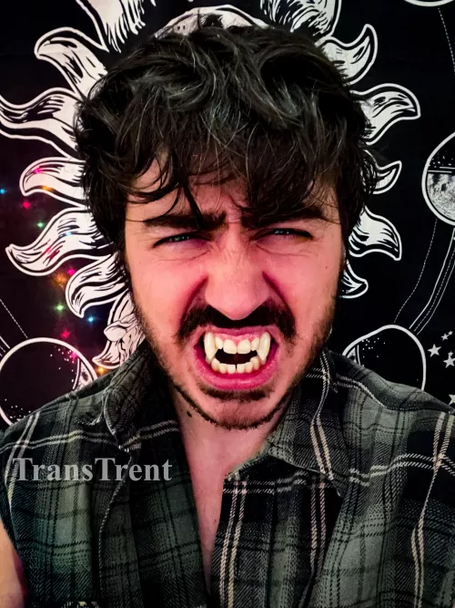 Was a full moon yesterday so was a bit busy 😉 by TransTrent