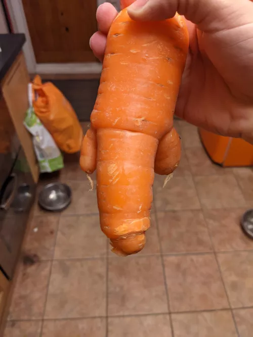 Was chopping carrots when I got slapped in the face by this thing by access547