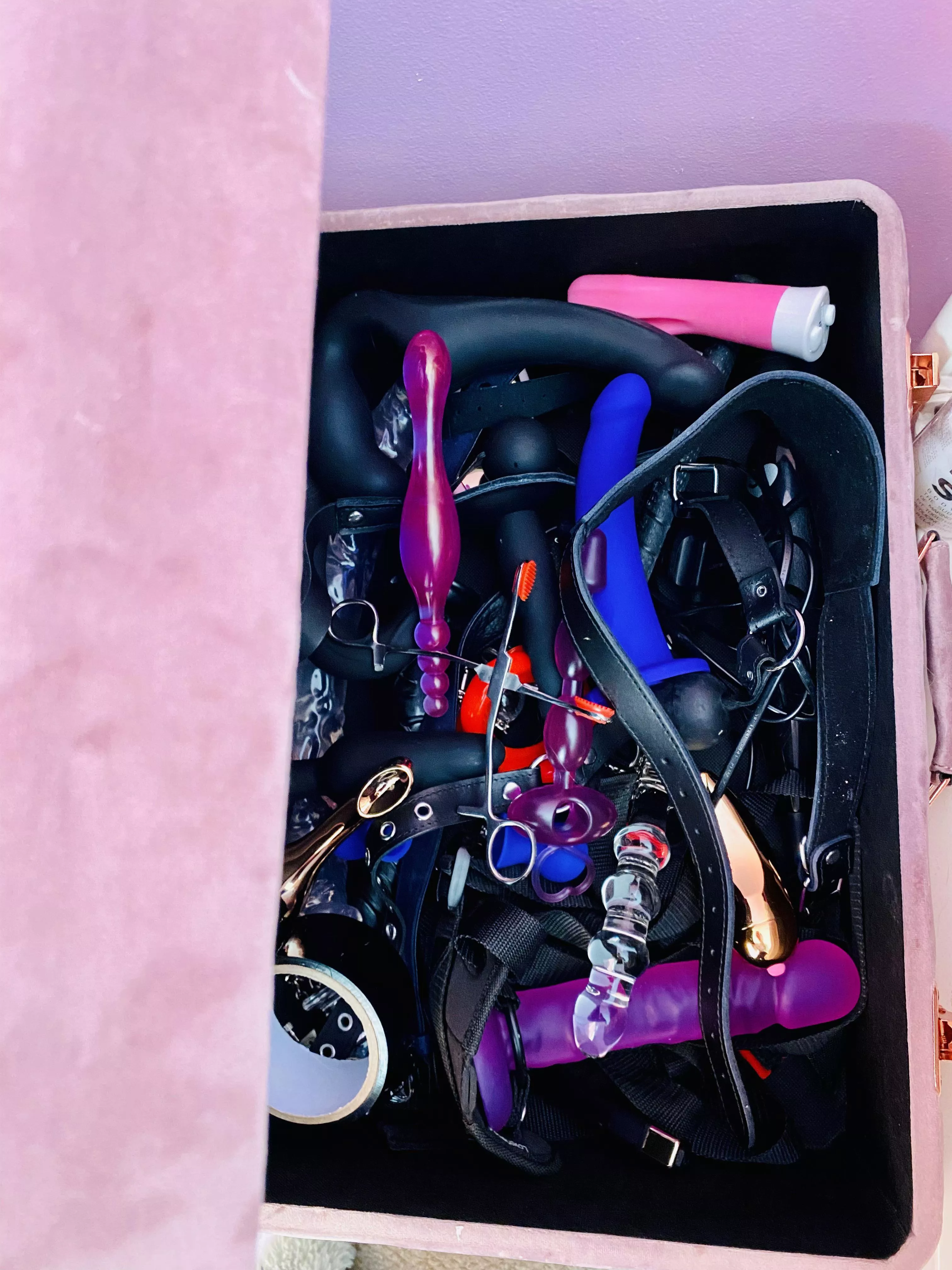 Washed, charged and ready for a fun weekend posted by Bathory-Bathing-Suit