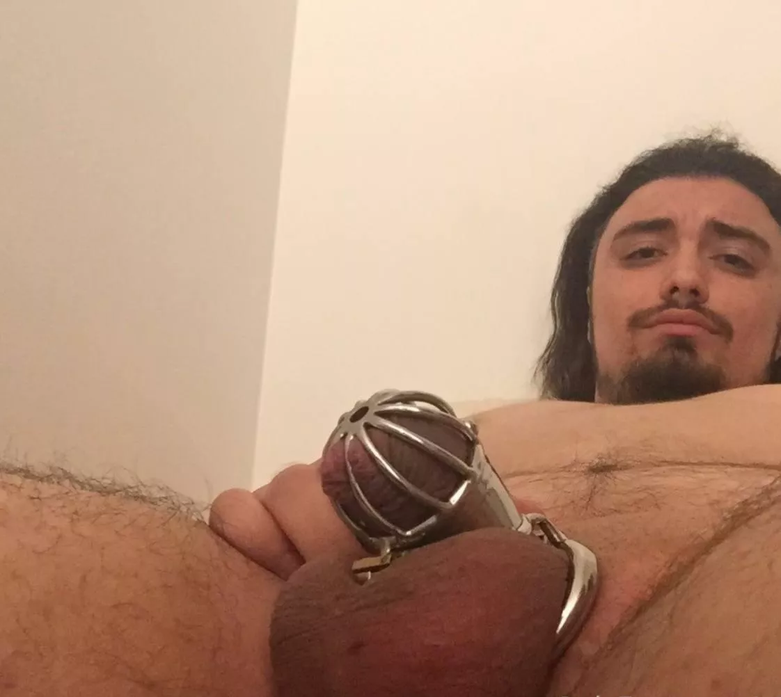 Watch this chastity slut, I won’t allow him to cum but he can fuck his slutty ass for me Comment yes, and i would give an extra day in chastity for him 🔐⛓ posted by MsNikkyFrench