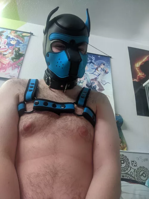 Watcha looking at ? by MagicTentacle