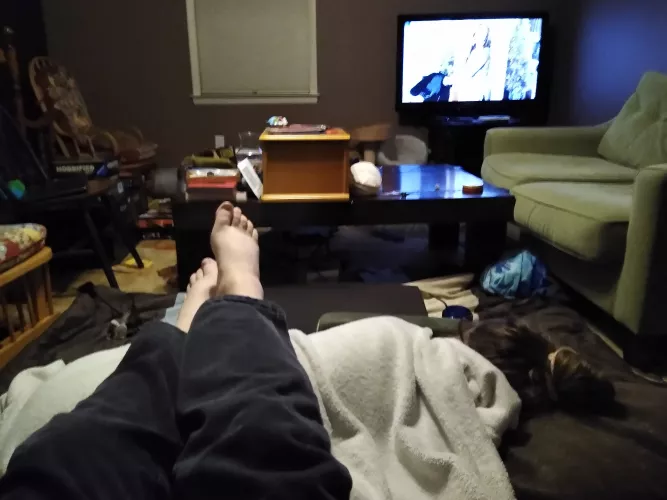 Watching Christmas movies with the world's prettiest footstool by Silakaruna