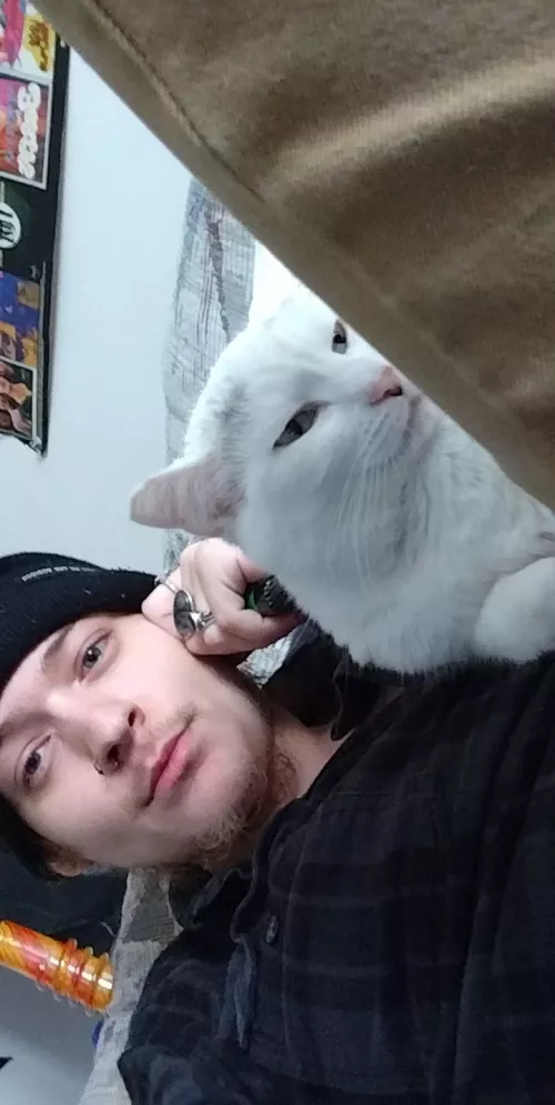 we don't deserve animals by strangerliquid