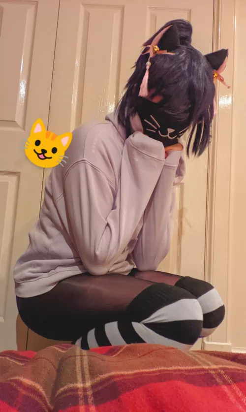 we out here purring 💯 by quilcat