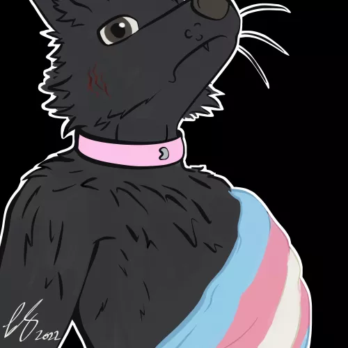 Wear it proud by FurrySoren