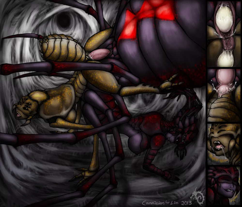 Webbed Lair posted by spiderbutt_