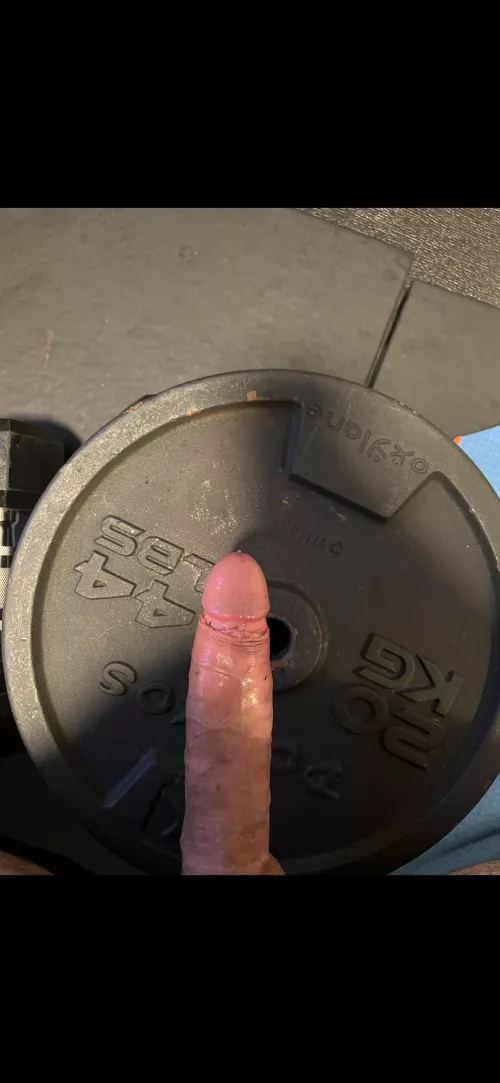Weight plate and penis by KitchenDimension6238