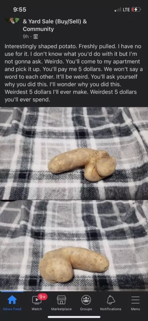 Weirdest 5 Dollars You'll Ever Spend by brake21