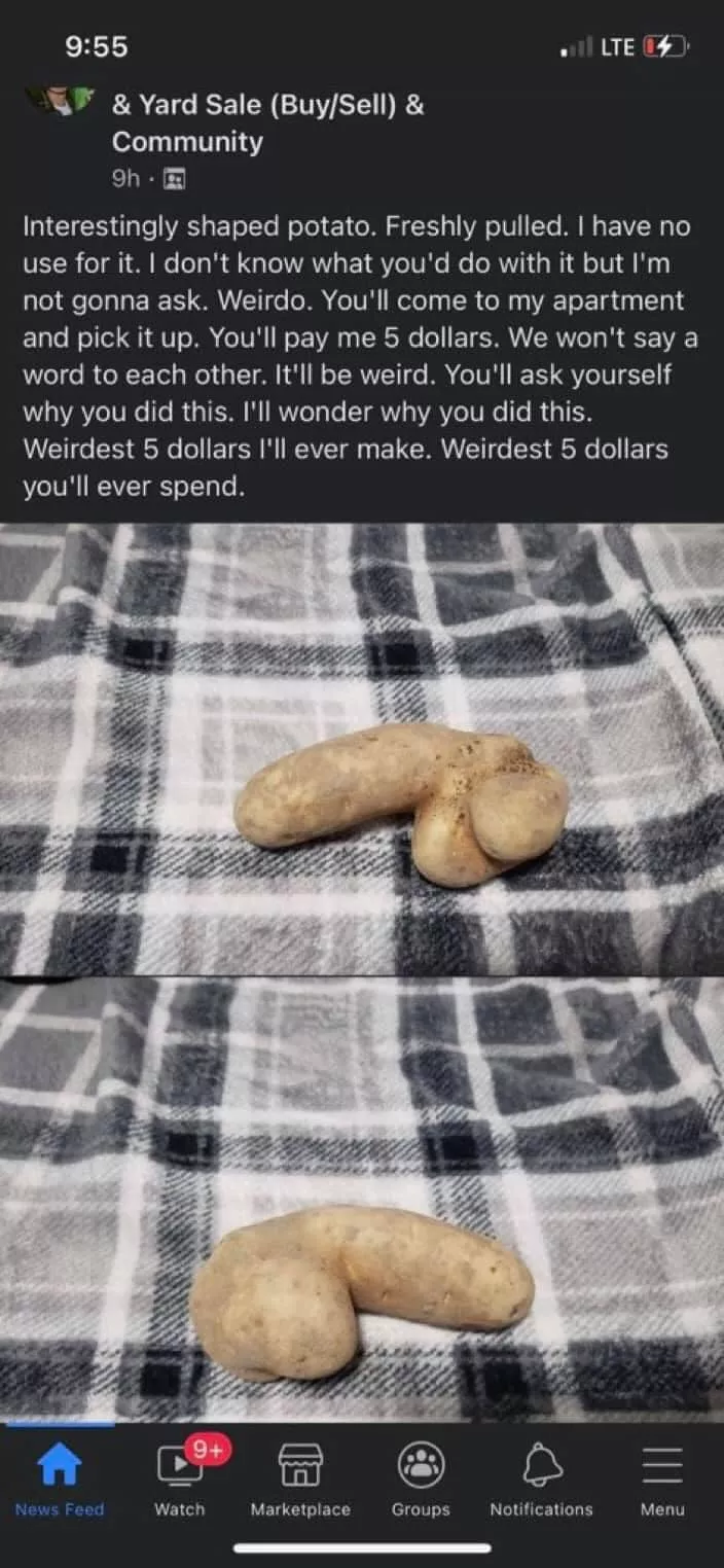 Weirdest 5 Dollars You'll Ever Spend posted by brake21