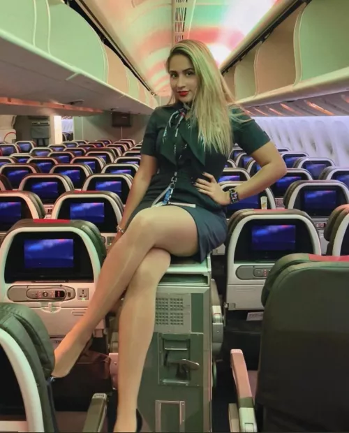 Welcome to Miami 🇧🇷 by arrayoutofbounds