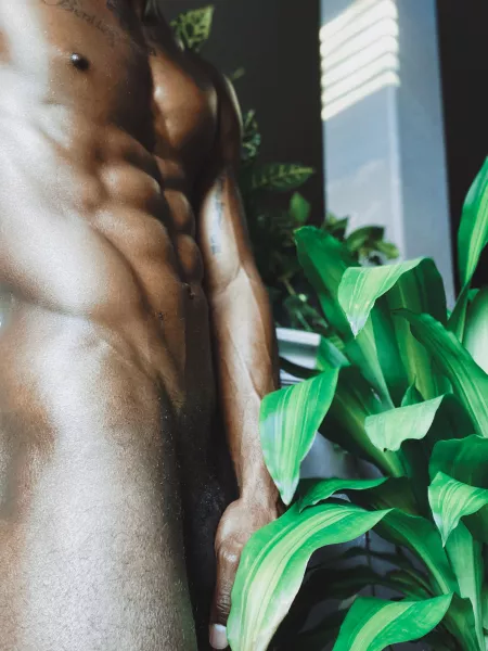 Welcome to the Jungle by Weak_Presentation_28