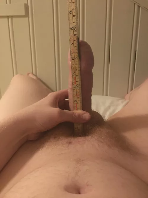 Well above average, but not to big. by Sudden_Standard_5273