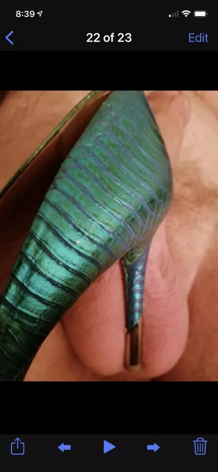 Well heeled by coq_au_vain