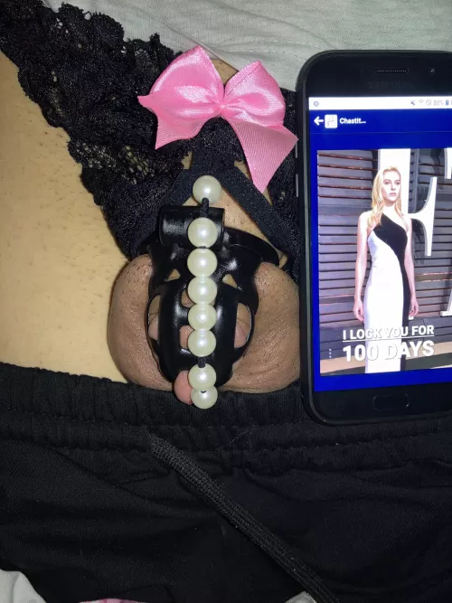 Well, there is no going back now 🤔 by CanaryRound5609