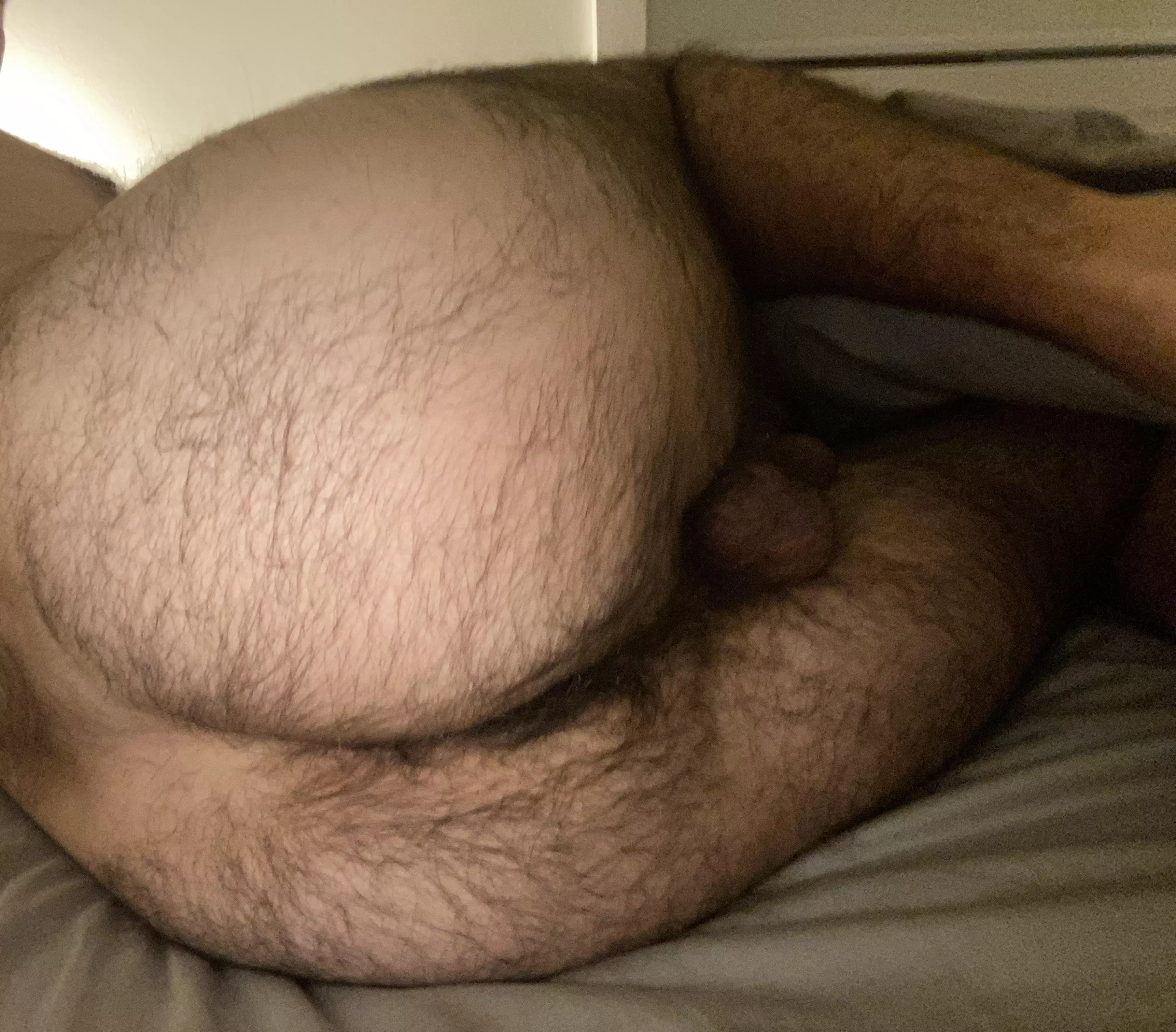 Well, there’s a taint beneath all the fur 😜 posted by 5_in_guy