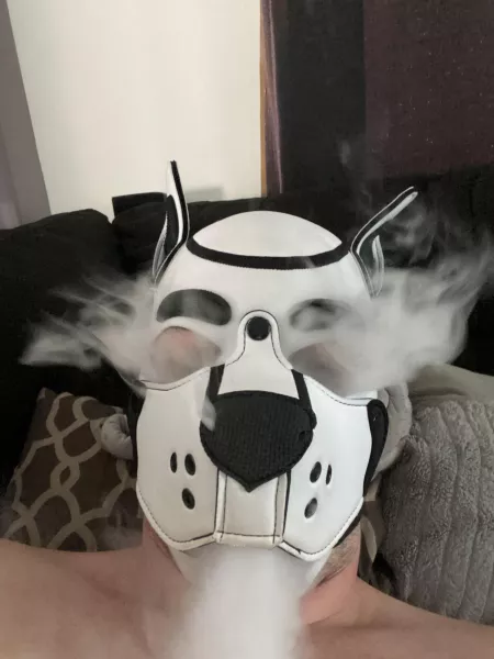 Well, vaping in a hood is interesting. Hahahahah by PupReigner