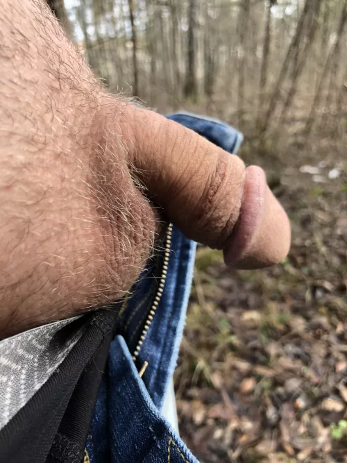 Went for a hike by LoneGopher27