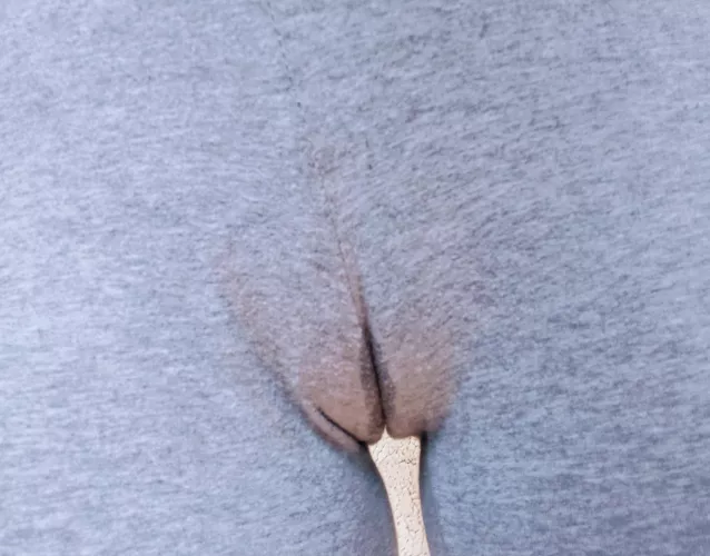 Went for a relaxing short walk and felt sexy in my tight, cute, yoga pants, but when I got back home, I noticed this... Do you think people noticed how sexy I was feeling? 😳 by kit_kat_purrs